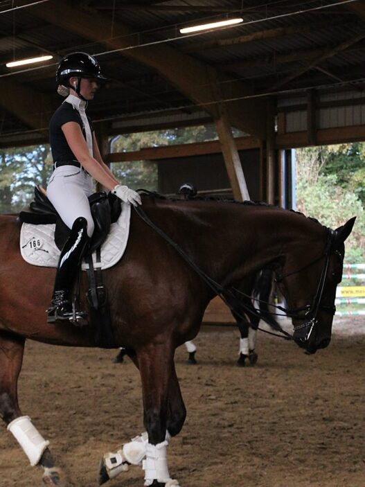 dressurtage mindener reitverein 27 09 26 04
