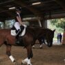 dressurtage mindener reitverein 27 09 26 04