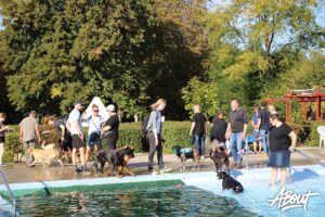 hundeschwimmen sommerbad minden 27 09 26 20