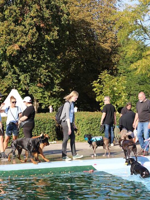 hundeschwimmen sommerbad minden 27 09 26 20