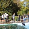 hundeschwimmen sommerbad minden 27 09 26 20