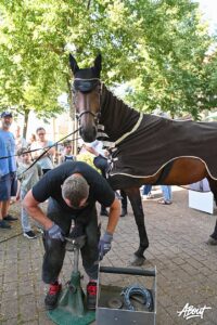 © Susanne Kußmann hufbeschlag eroeffnet das kranzreiten in hahlen 03