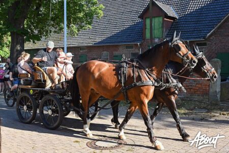 © Susanne Kußmann hufbeschlag eroeffnet das kranzreiten in hahlen 57