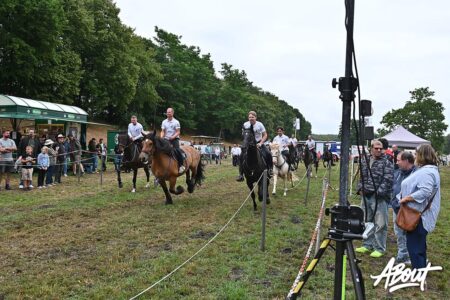 © Susanne Kußmann kranzreiten hahlen 2026 004