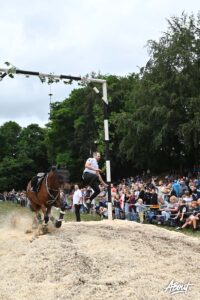 © Susanne Kußmann kranzreiten hahlen 2026 091
