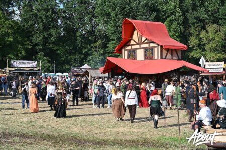 ยฉ Susanne Kuรmann mittelalterlich phantasie spectaculum bueckeburg 39